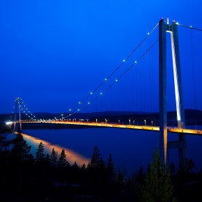 Functionally Based Procurement in the Public&nbsp;Sector